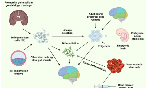 biology-11-00147-g001